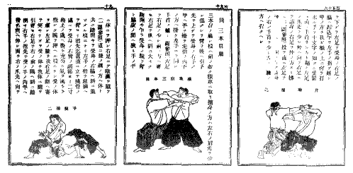 Ju Jutsu Techniques